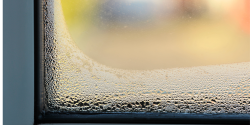 Window Condensation